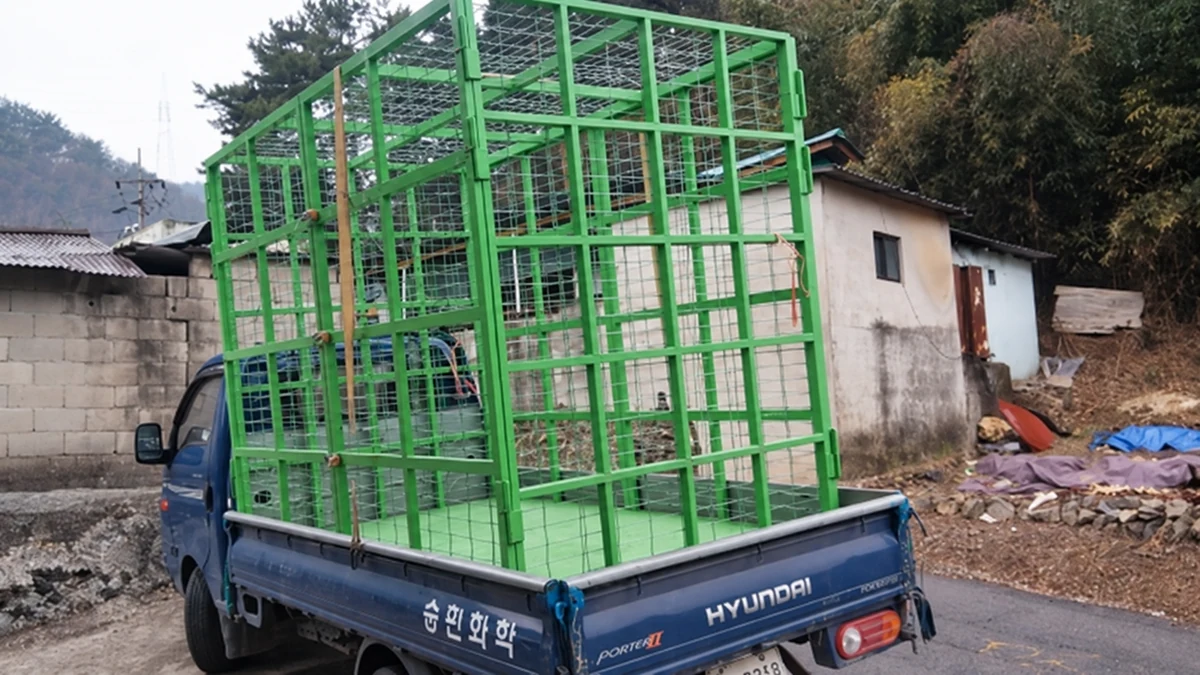 과일 바구니를 적재하도록 제작한 초록색 차량용 대차